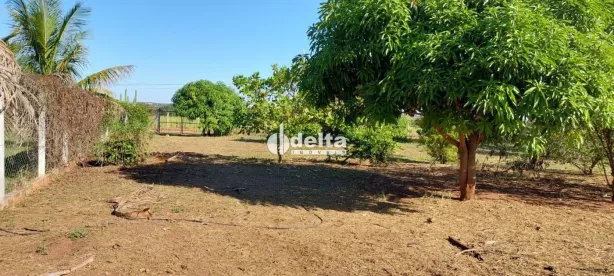 Lote/Terreno à venda, 2000m² no Área Rural de Uberlândia, Uberlândia