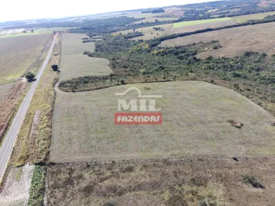 Fazenda/Sítio à venda, 1m² no Campo Formoso, Orizona