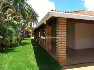 Fazenda/Sítio com 3 Quartos à venda, 500m² no Bacuri, Ipiguá