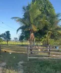 Fazenda/Sítio com 2 Quartos à venda, 200000m² no Centro, Casimiro de Abreu