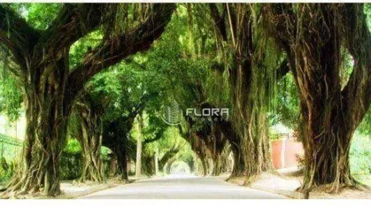 Lote/Terreno à venda, 1085m² no Vila Progresso, Niterói