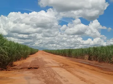 Fazenda/Sítio com 1 Quarto à venda, 6630800m² no , Pacaembu