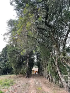 Fazenda/Sítio com 3 Quartos à venda, 230m² no , Piedade