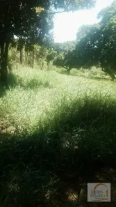 Lote/Terreno à venda, 5000m² no Morro Grande da Boa Vista, Bragança Paulista