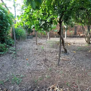 Imóvel Comercial com 2 Quartos à venda, 100m² no Alto Cafezal, Marília