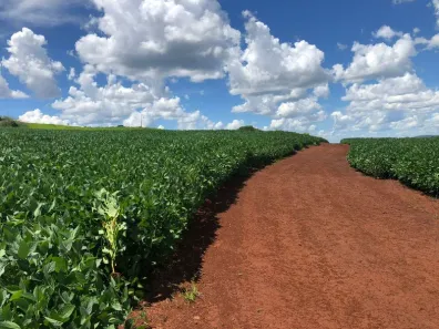 Fazenda/Sítio com 1 Quarto à venda, 258m² no Rural, Nova Ubiratã