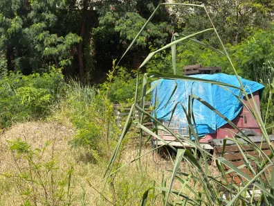 Lote/Terreno à venda, 840m² no Castelo, Belo Horizonte