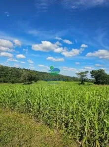 Fazenda/Sítio com 7 Quartos à venda, 2020m² no , Itapirapuã