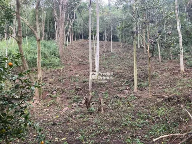 Lote/Terreno à venda, 1533m² no Parque Dom João VI, Nova Friburgo