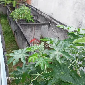 Lote/Terreno à venda, 99m² no Alves Dias, São Bernardo do Campo