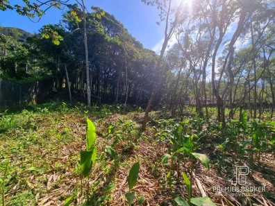 Lote/Terreno à venda, 4430m² no Carlos Guinle, Teresópolis