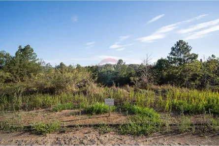 Lote/Terreno à venda, 789m² no , Matias Barbosa