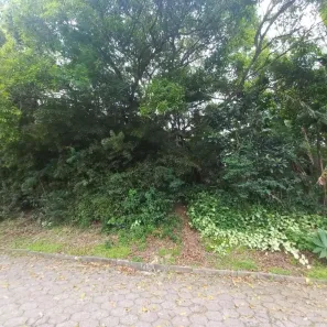 Lote/Terreno à venda, 417m² no Trindade, Florianópolis