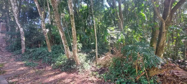Lote/Terreno à venda, 1424m² no Caraguatá, Mairiporã