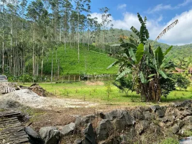 Lote/Terreno à venda, 12800m² no Guabiruba Sul, Guabiruba