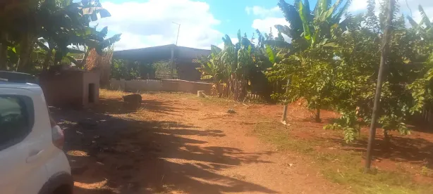 Fazenda/Sítio com 2 Quartos à venda, 5000m² no , Brasília