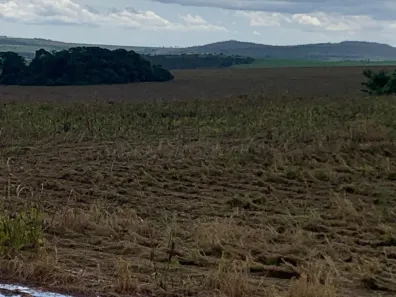 Fazenda/Sítio com 5 Quartos à venda, 210m² no , Ipameri