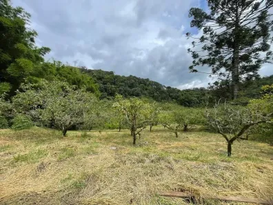 Lote/Terreno à venda, 1000m² no , Santo Antônio do Pinhal