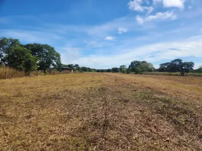 Fazenda/Sítio com 5 Quartos à venda, 1700m² no , Cocalinho
