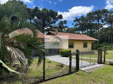 Fazenda/Sítio com 3 Quartos à venda, 21300m² no , Campo Alegre