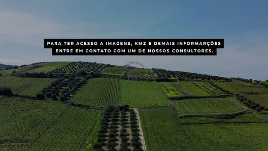 Fazenda/Sítio à venda, 2350m² no Centro, João Pinheiro