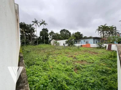 Lote/Terreno à venda, 1341m² no Velha, Blumenau