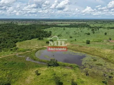 Fazenda/Sítio à venda, 1m² no , Araguaçu