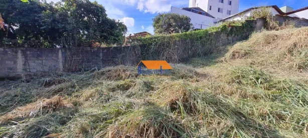 Lote/Terreno à venda, 498m² no Nova Floresta, Belo Horizonte