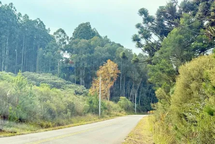 Fazenda/Sítio à venda, 88000m² no Vila Seca, Caxias do Sul