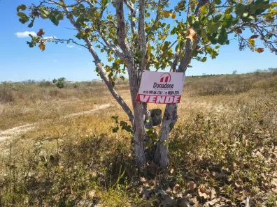 Lote/Terreno à venda, 10890m² no Papagaio, Feira de Santana