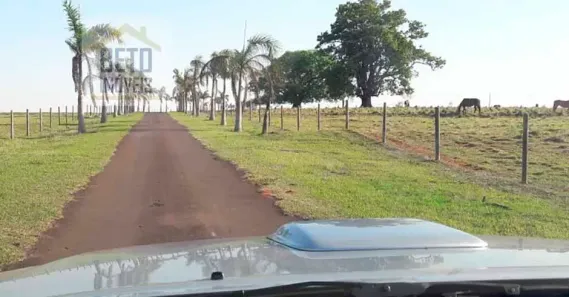 Fazenda/Sítio à venda, 10890000m² no Bosque, Presidente Prudente