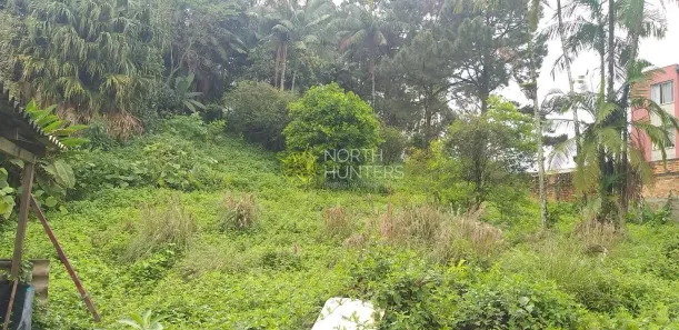 Lote/Terreno à venda, 1963m² no Saguaçu, Joinville