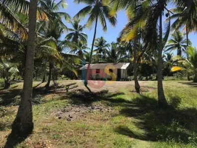 Fazenda/Sítio com 1 Quarto à venda, 9872m² no Canavieiras, Canavieiras
