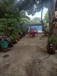 Fazenda/Sítio à venda, 400m² no Nova Cidade, Manaus