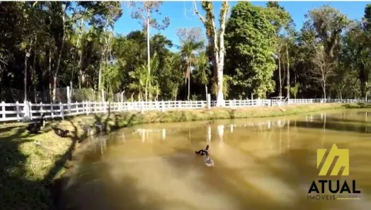 Fazenda/Sítio com 13 Quartos à venda, 700m² no Chácaras Iporanga, Peruíbe