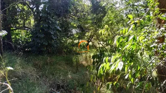 Lote/Terreno à venda, 395m² no Jardim Paulista, Atibaia
