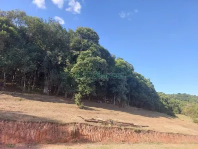 Lote/Terreno à venda, 1925m² no Linha 40, Caxias do Sul
