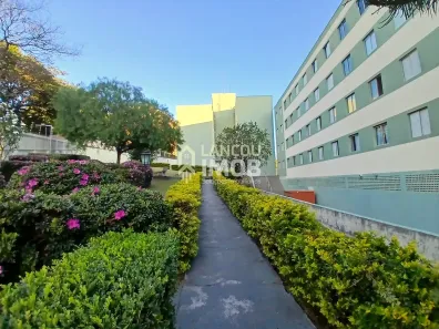 Apartamento com 2 Quartos para venda ou aluguel, 48m² no Jardim Colônia, Jundiaí