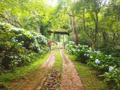 Fazenda/Sítio com 4 Quartos à venda, 150m² no Centro, São Francisco de Paula