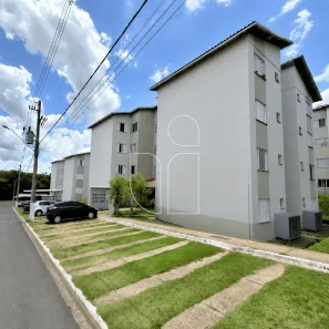 Apartamento com 2 Quartos à venda, 44m² no Paulo Correa de Lara, Marília