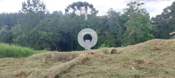 Lote/Terreno à venda, 1438m² no Jardim Orestes Thá, Quatro Barras