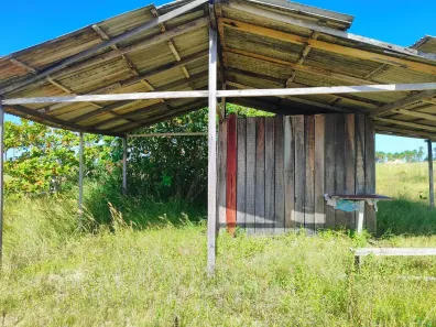 Fazenda/Sítio com 1 Quarto à venda, 61895m² no , Alto Alegre
