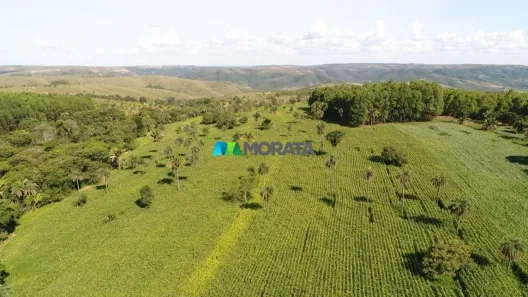 Fazenda/Sítio com 1 Quarto à venda, 468m² no , Biquinhas