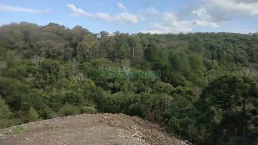 Lote/Terreno à venda, 1465m² no São Giácomo, Caxias do Sul