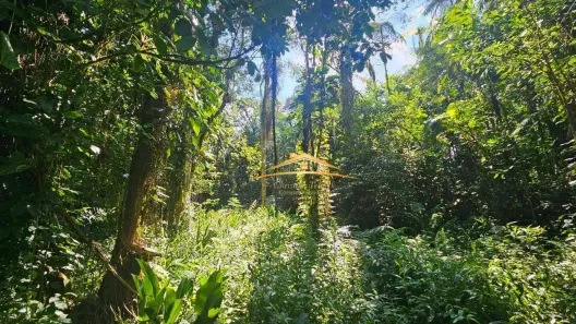 Lote/Terreno à venda, 39920m² no Colônia Sesmaria, Morretes