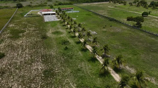 Fazenda/Sítio com 7 Quartos à venda, 25000m² no , Monte Alegre
