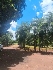 Fazenda/Sítio com 3 Quartos à venda, 150m² no Conjunto José Abrão, Campo Grande