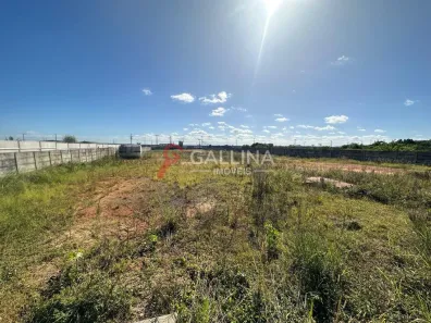 Lote/Terreno para alugar, 8400m² no São Luis, Canoas