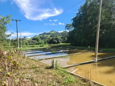 Fazenda/Sítio com 2 Quartos à venda no Itapeva, Itapeva