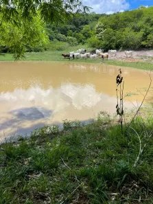 Fazenda/Sítio com 3 Quartos à venda, 1260000m² no , Pedro Velho